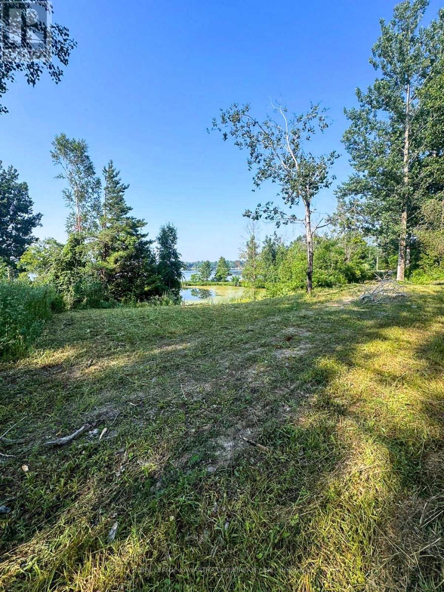 14 Lawson Court, Kawartha Lakes (Emily), Ontario  K0L 2W0 - Photo 10 - X13029918