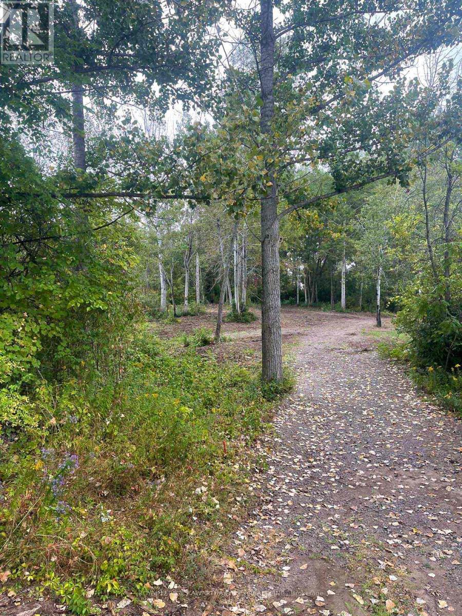 14 Lawson Court, Kawartha Lakes (Emily), Ontario  K0L 2W0 - Photo 11 - X13029918