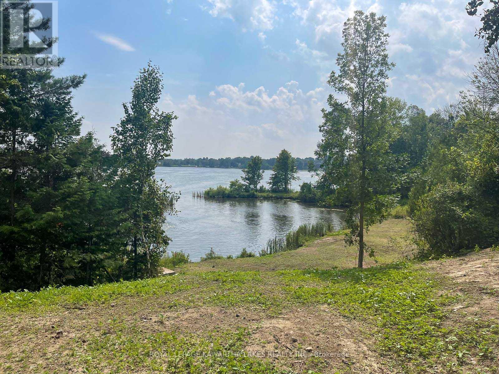 14 Lawson Court, Kawartha Lakes (Emily), Ontario  K0L 2W0 - Photo 13 - X13029918