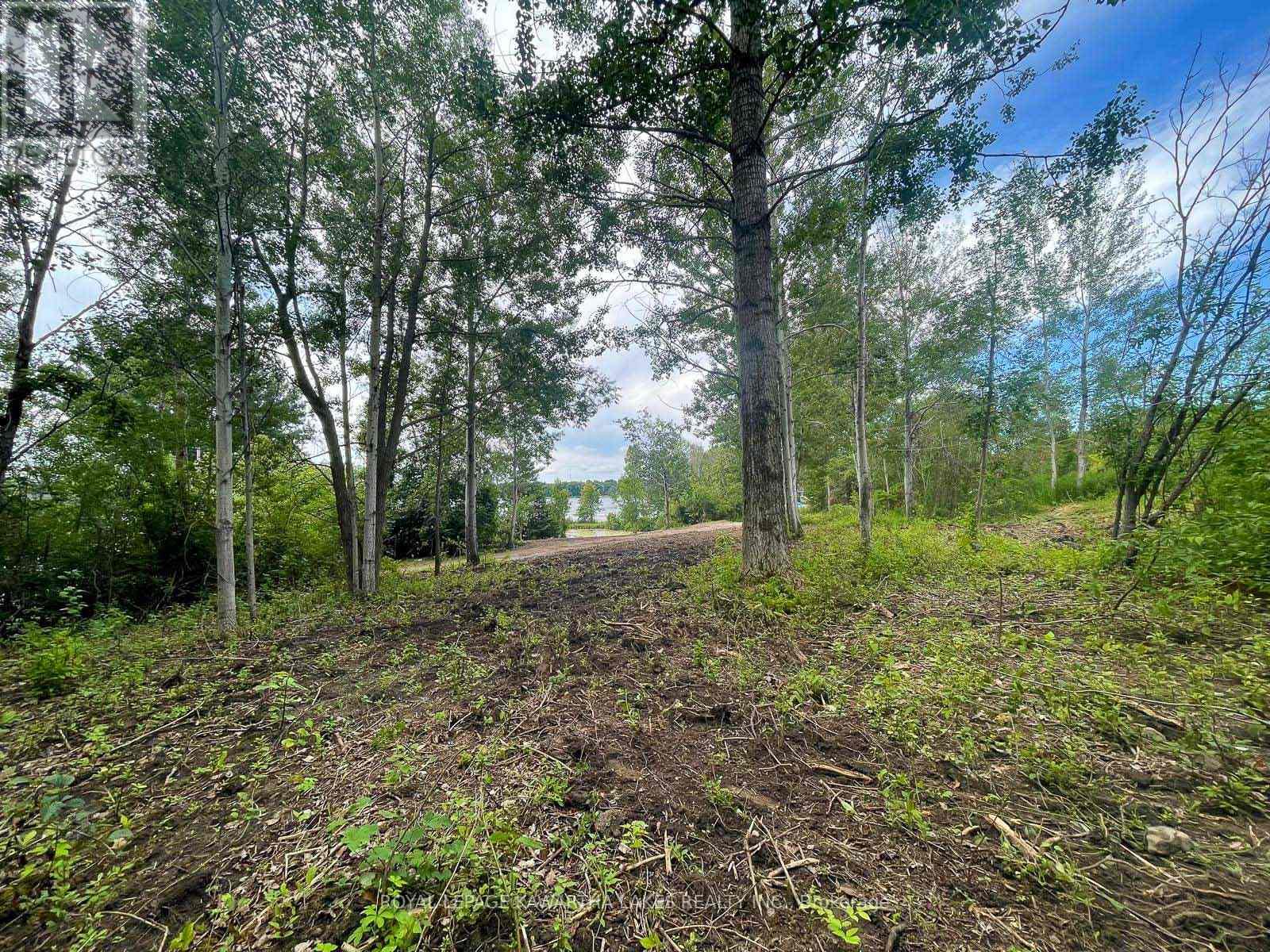 14 Lawson Court, Kawartha Lakes (Emily), Ontario  K0L 2W0 - Photo 14 - X13029918