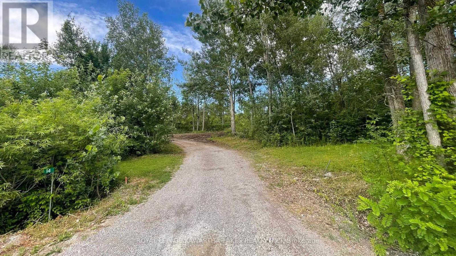 14 Lawson Court, Kawartha Lakes (Emily), Ontario  K0L 2W0 - Photo 5 - X13029918