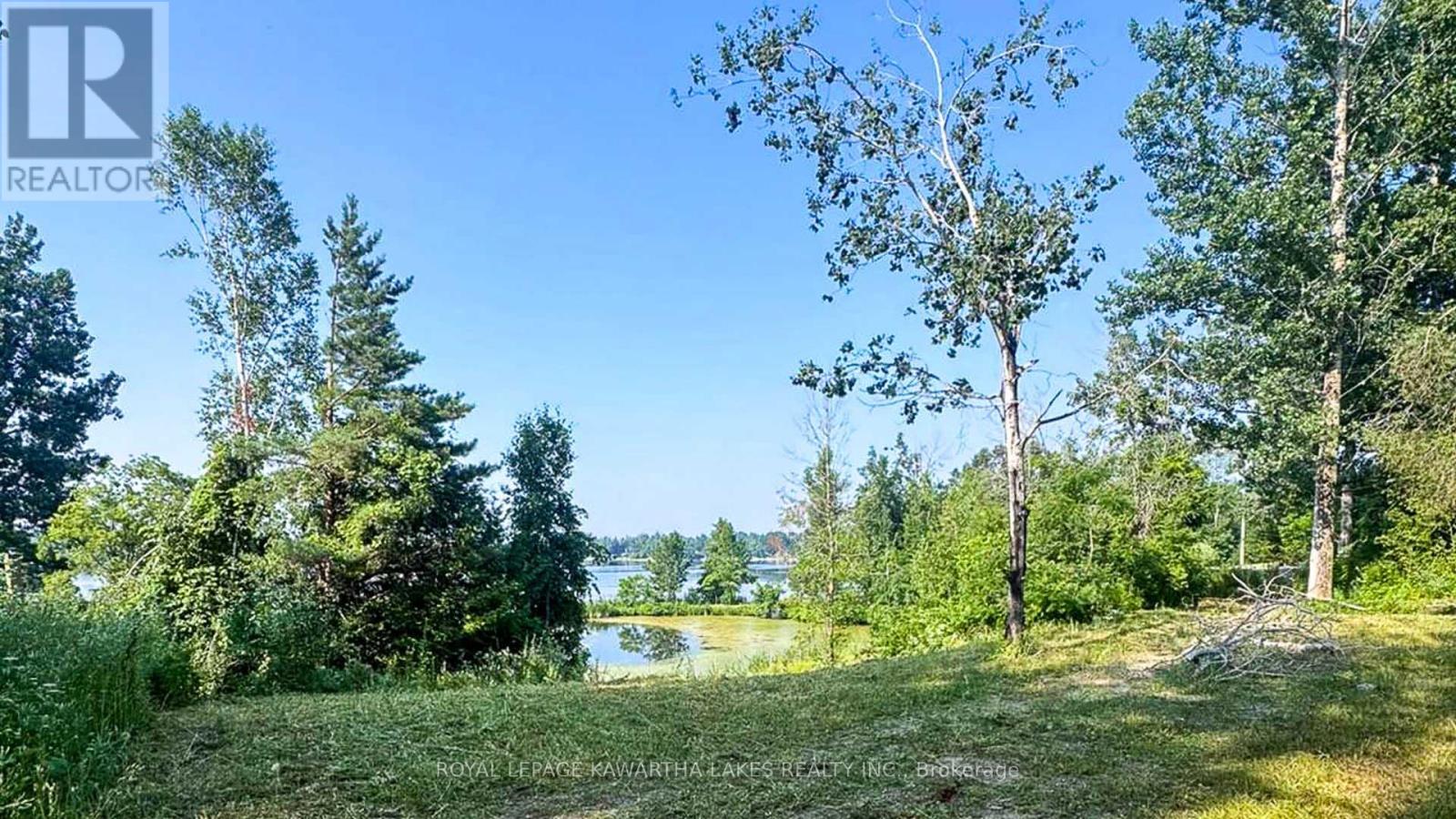 14 Lawson Court, Kawartha Lakes (Emily), Ontario  K0L 2W0 - Photo 6 - X13029918