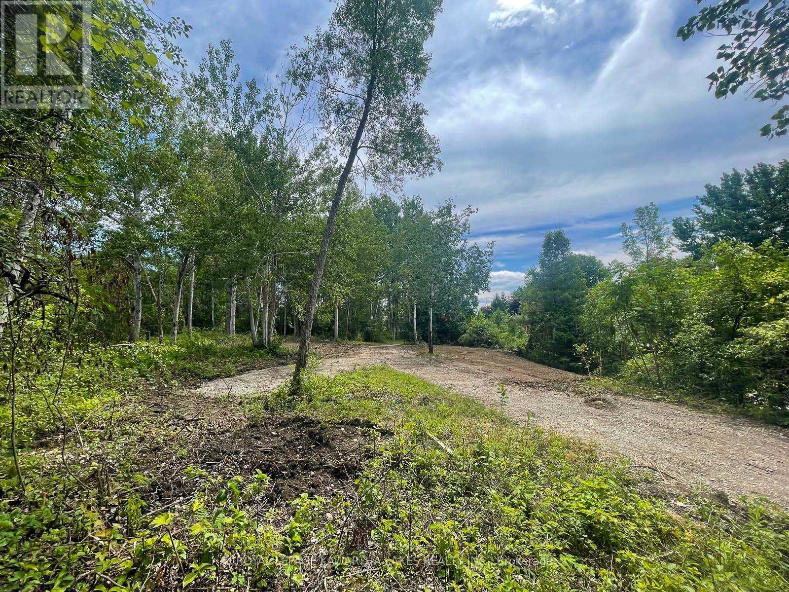 14 Lawson Court, Kawartha Lakes (Emily), Ontario  K0L 2W0 - Photo 7 - X13029918