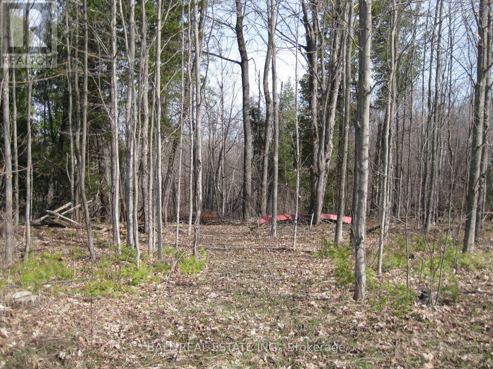 81 Silver Heights Drive, Trent Hills, Ontario  K0L 1Y0 - Photo 17 - X13032874
