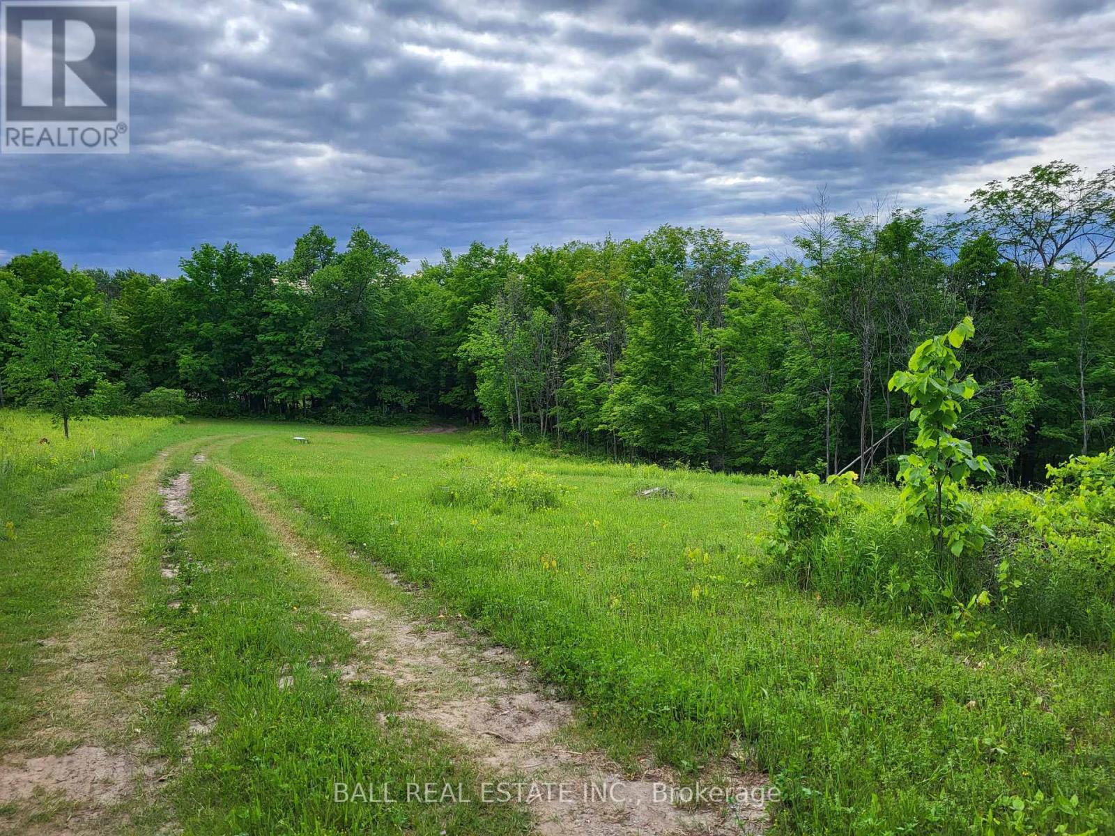 81 Silver Heights Drive, Trent Hills, Ontario  K0L 1Y0 - Photo 3 - X13032874