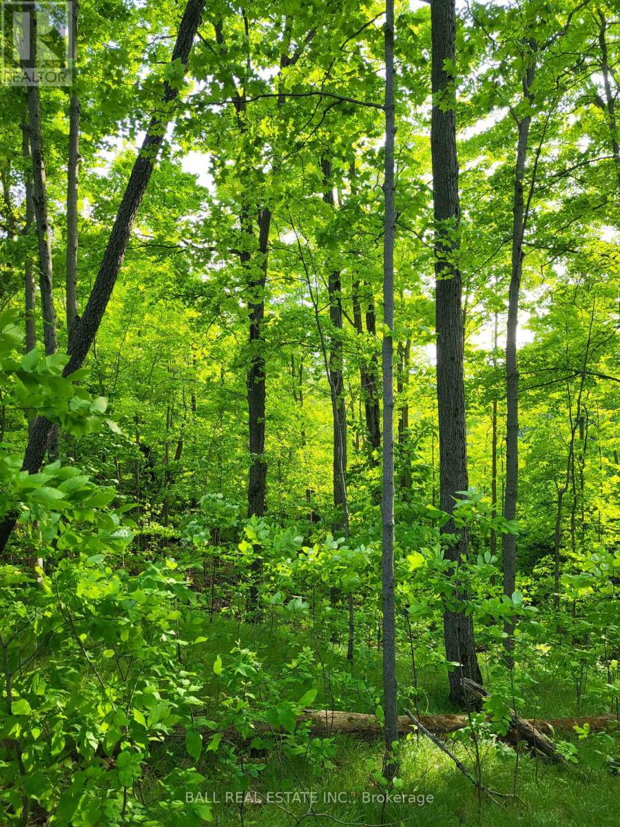 81 Silver Heights Drive, Trent Hills, Ontario  K0L 1Y0 - Photo 4 - X13032874