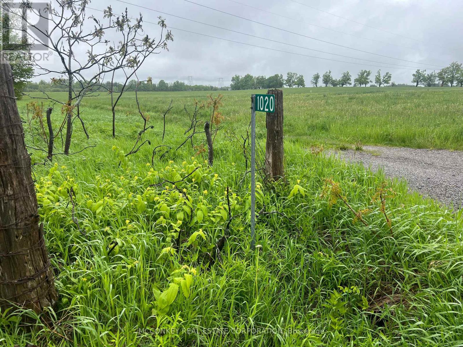 1020 LARMER LINE, cavan monaghan (cavan twp), Ontario