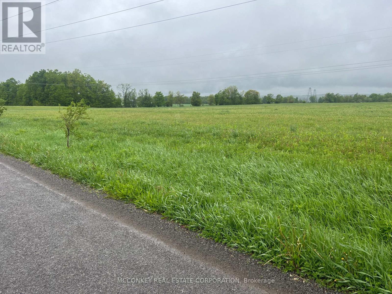 1020 Larmer Line, Cavan Monaghan (Cavan Twp), Ontario  K0L 1V0 - Photo 2 - X13034588