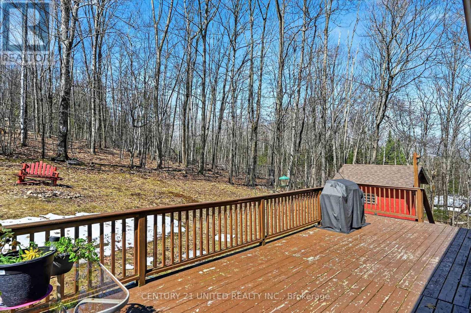 223 Clark Lake Road, Bancroft (Dungannon Ward), Ontario  K0L 1C0 - Photo 29 - X13035550