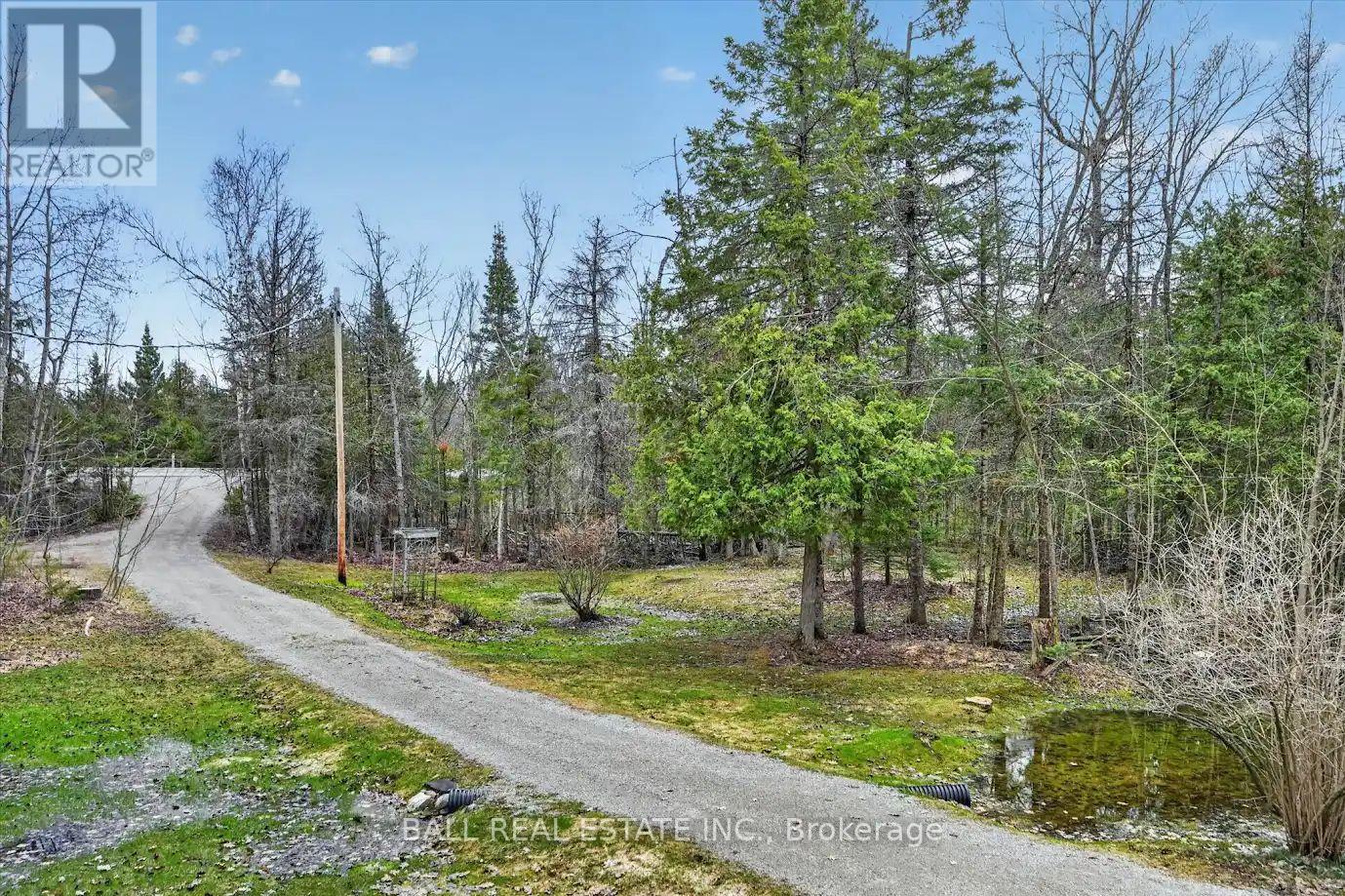 6550 Highway 28, North Kawartha, Ontario  K0L 3E0 - Photo 15 - X13036056