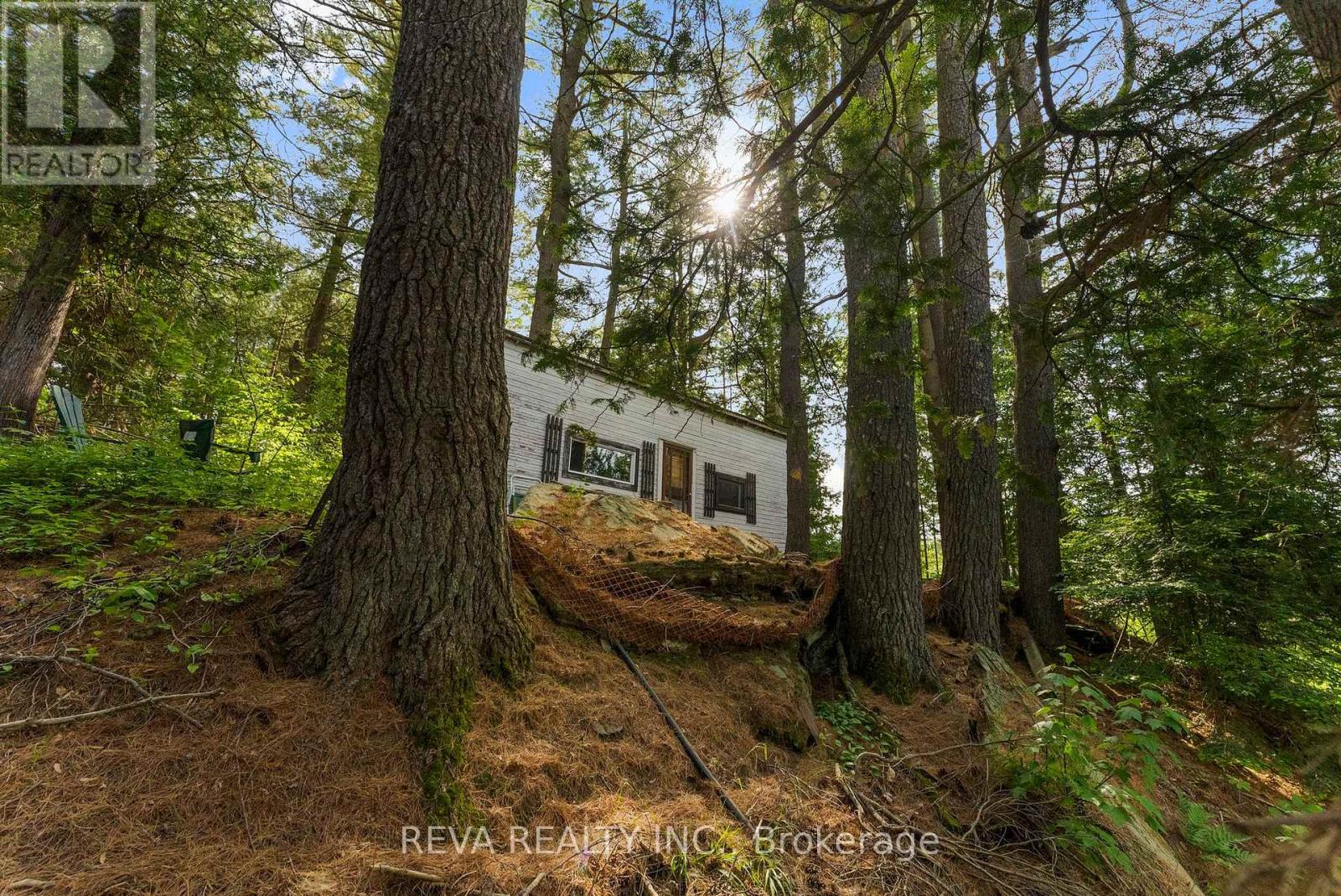 35532 Highway 28 Highway, Carlow/mayo (Mayo Ward), Ontario  K0L 2M0 - Photo 3 - X13037062