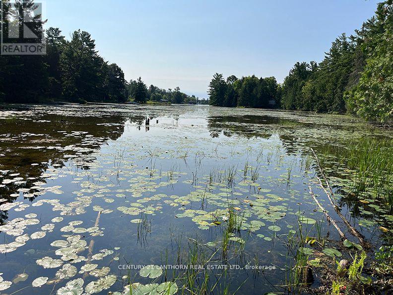 221 Fire Route 5, North Kawartha, Ontario  K0L 3E0 - Photo 13 - X13037642