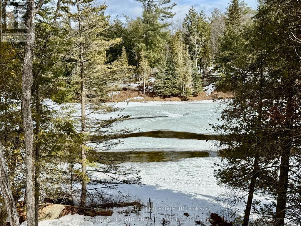 221 Fire Route 5, North Kawartha, Ontario  K0L 3E0 - Photo 20 - X13037642