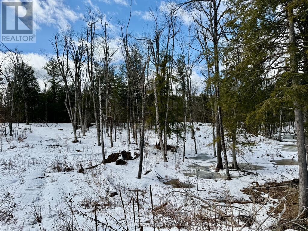 221 Fire Route 5, North Kawartha, Ontario  K0L 3E0 - Photo 23 - X13037642