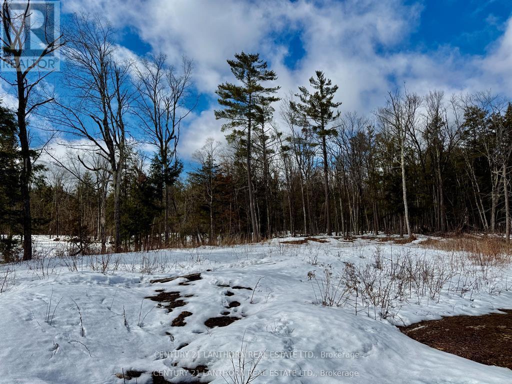 221 Fire Route 5, North Kawartha, Ontario  K0L 3E0 - Photo 24 - X13037642