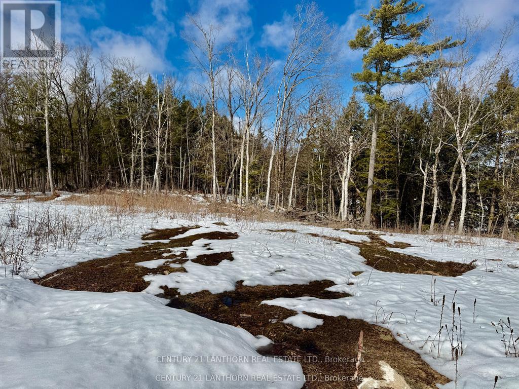 221 Fire Route 5, North Kawartha, Ontario  K0L 3E0 - Photo 25 - X13037642