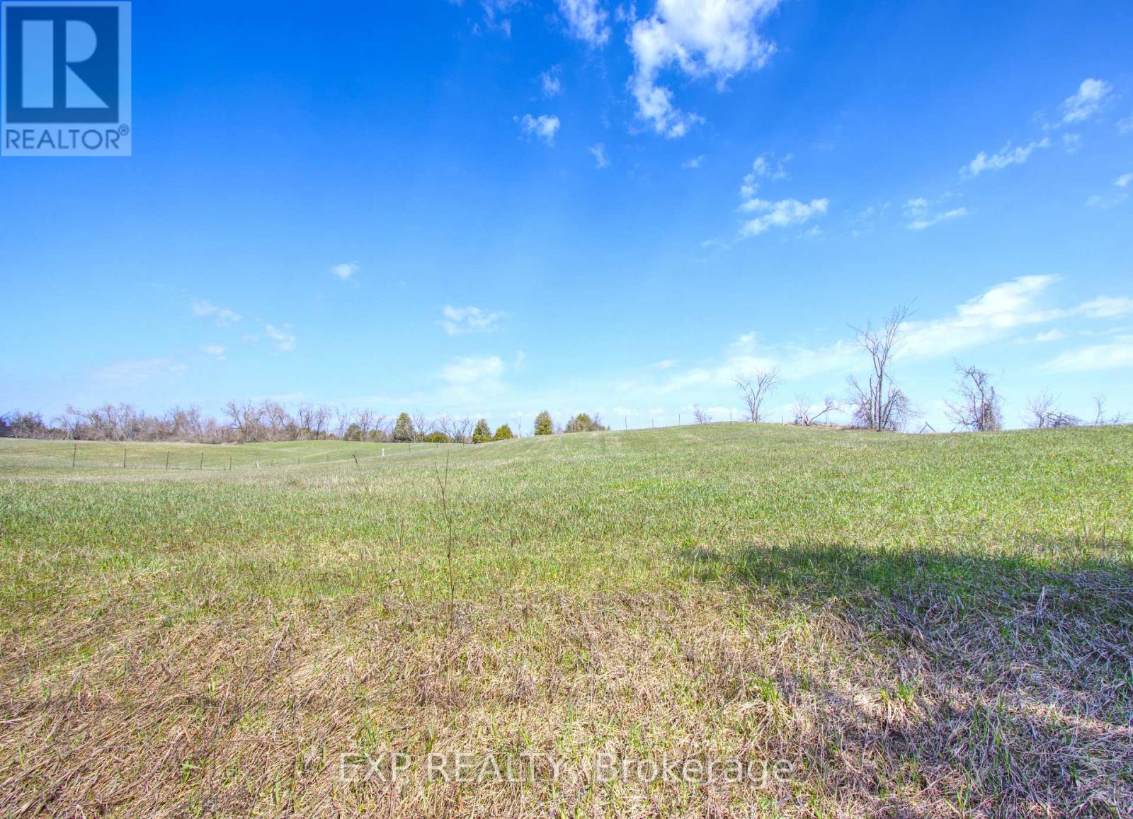 00 Webster Road, Douro-Dummer, Ontario  K0L 2V0 - Photo 10 - X13038244