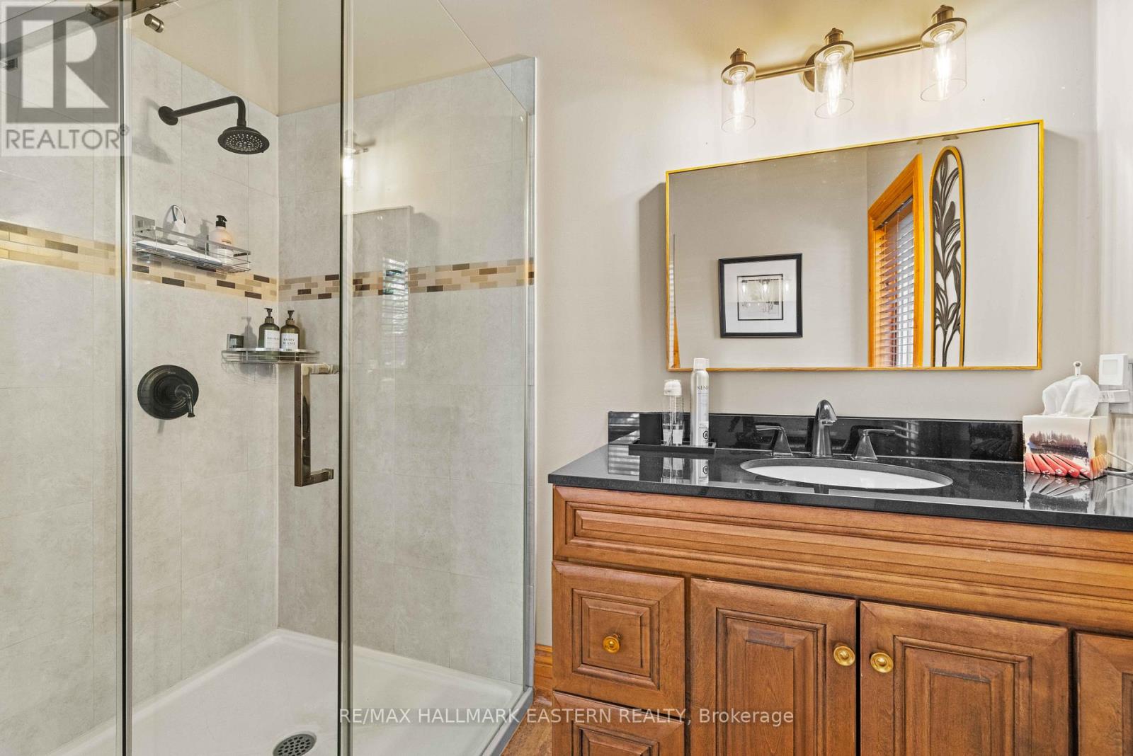 66 Fire Route 209, Trent Lakes, Ontario  K0L 1J0 - Photo 28 - X13040538