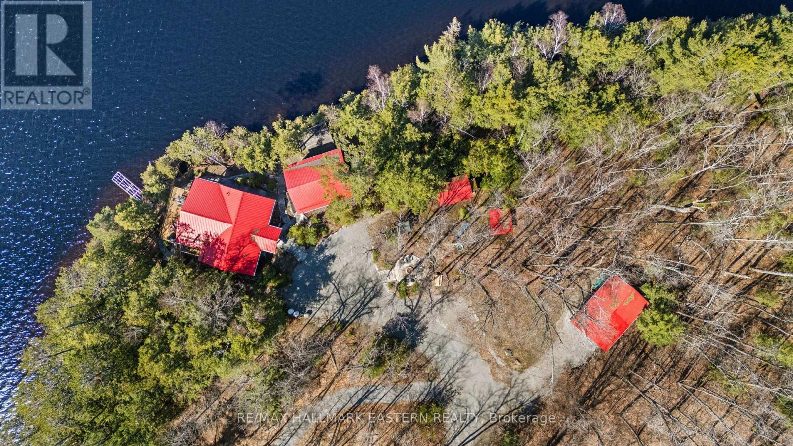 66 Fire Route 209, Trent Lakes, Ontario  K0L 1J0 - Photo 3 - X13040538