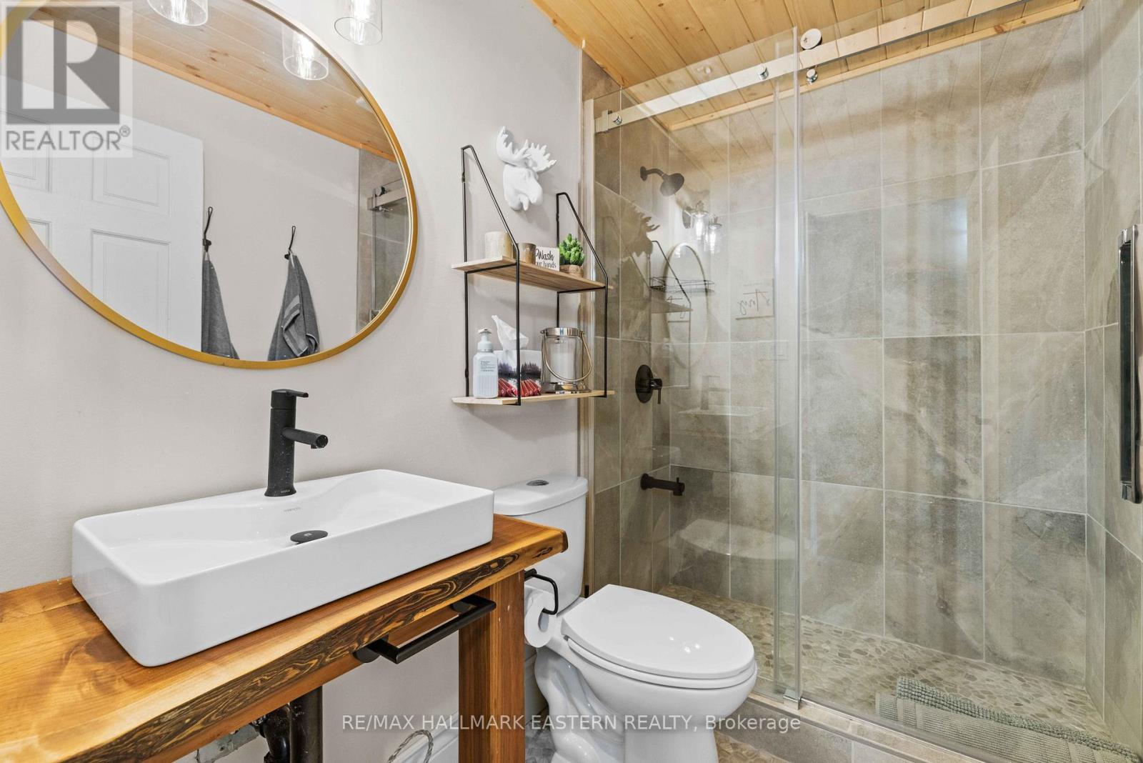 66 Fire Route 209, Trent Lakes, Ontario  K0L 1J0 - Photo 30 - X13040538