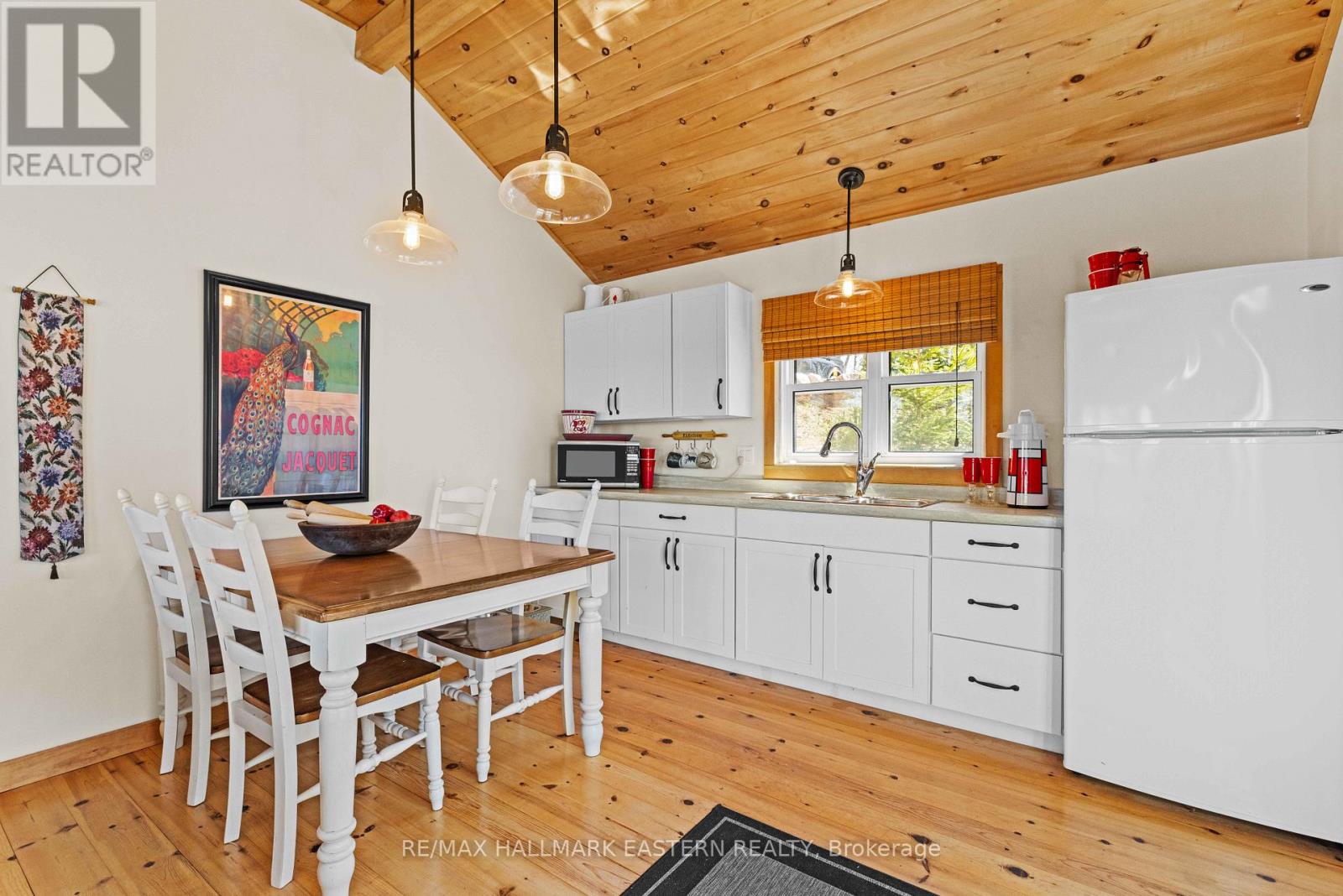 66 Fire Route 209, Trent Lakes, Ontario  K0L 1J0 - Photo 35 - X13040538