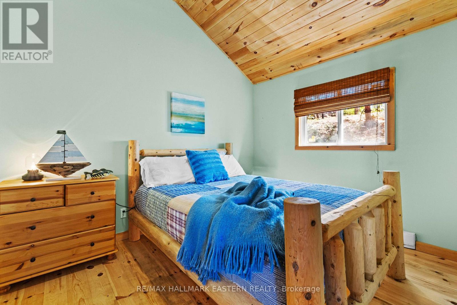 66 Fire Route 209, Trent Lakes, Ontario  K0L 1J0 - Photo 38 - X13040538