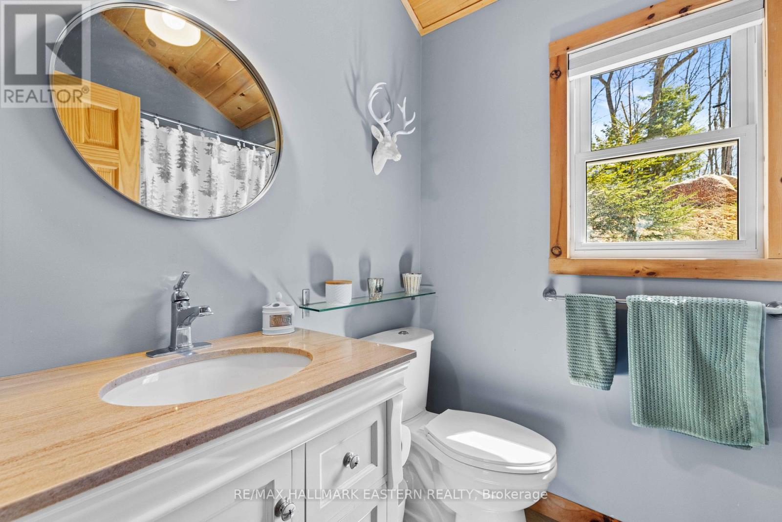 66 Fire Route 209, Trent Lakes, Ontario  K0L 1J0 - Photo 39 - X13040538