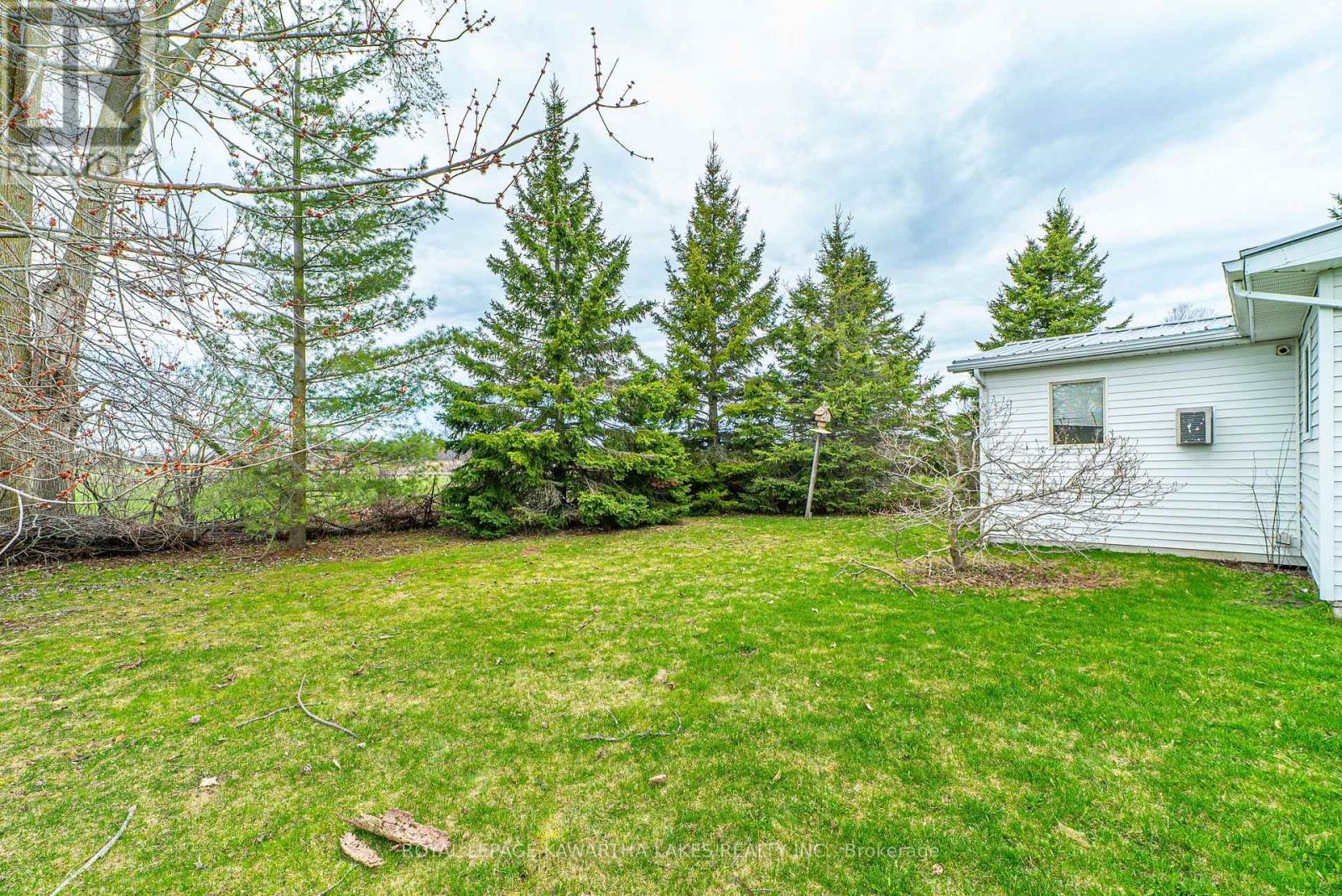 4 Vista Drive, Kawartha Lakes (Fenelon), Ontario  K9V 4R1 - Photo 31 - X13041104