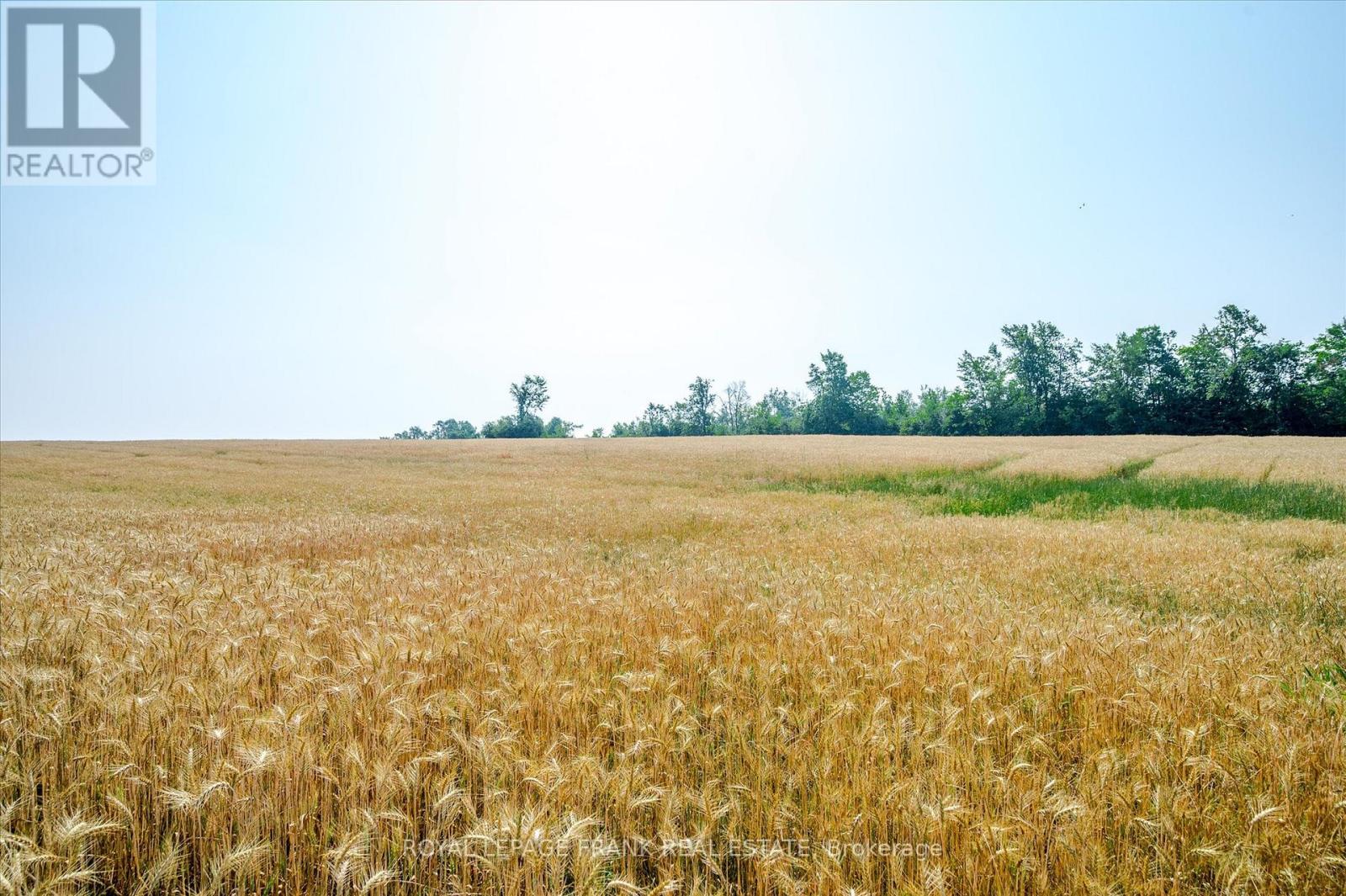 1060 Centre Line, Selwyn, Ontario  K9J 6X5 - Photo 39 - X13041704