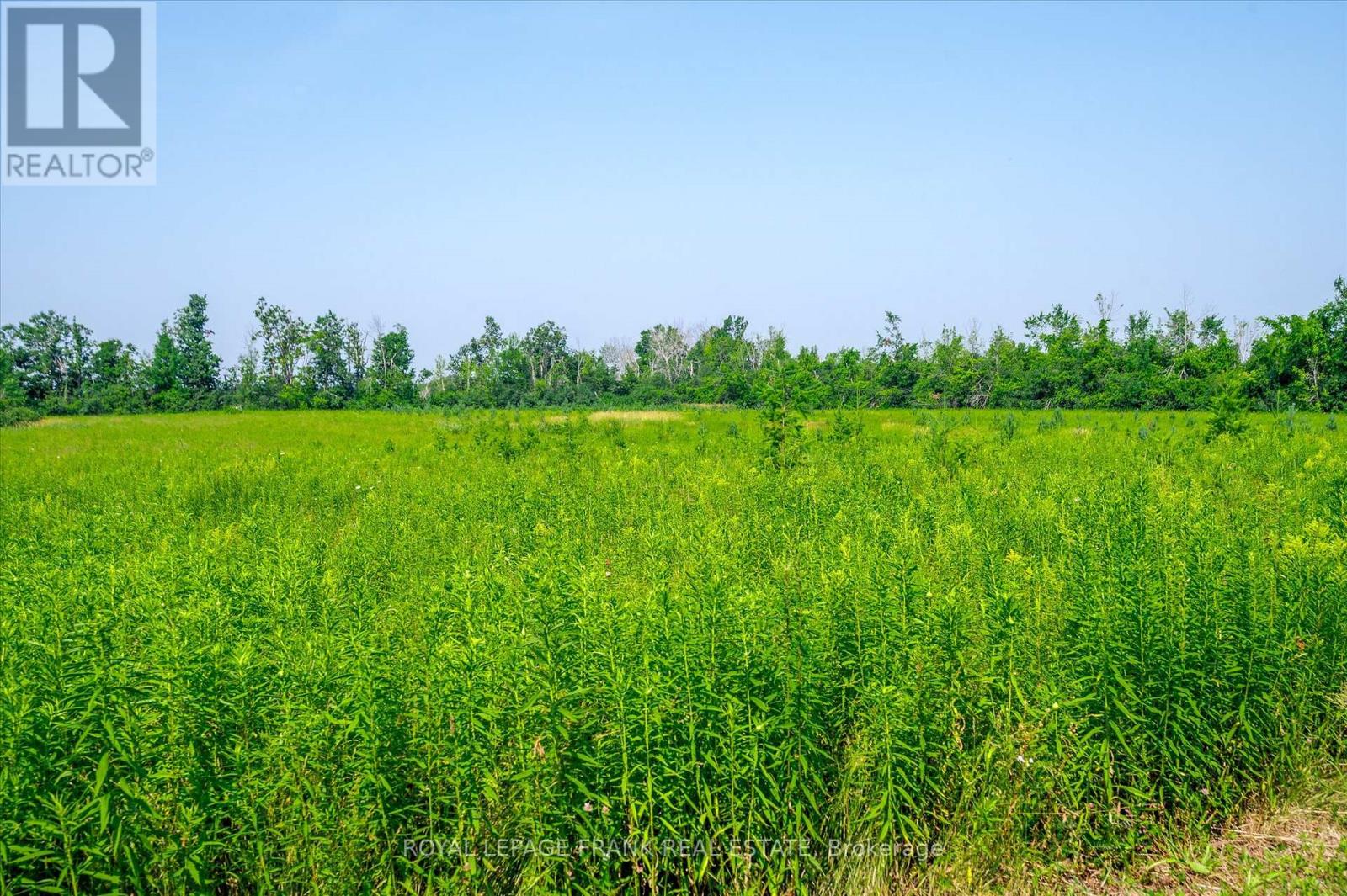 1060 Centre Line, Selwyn, Ontario  K9J 6X5 - Photo 41 - X13041704