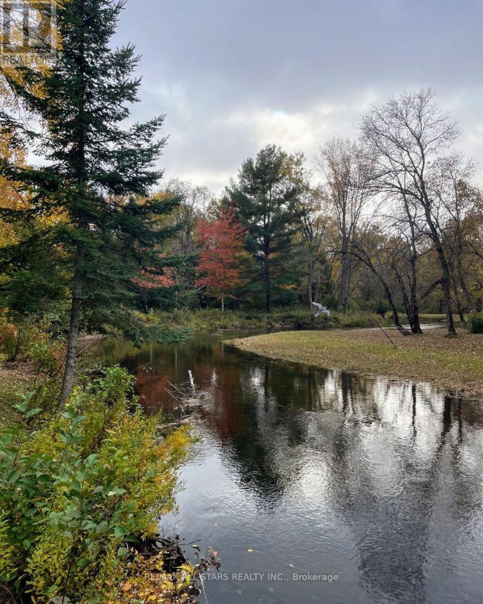 161 Mcfadden Road, North Kawartha, Ontario  K0L 1A0 - Photo 21 - X13049570