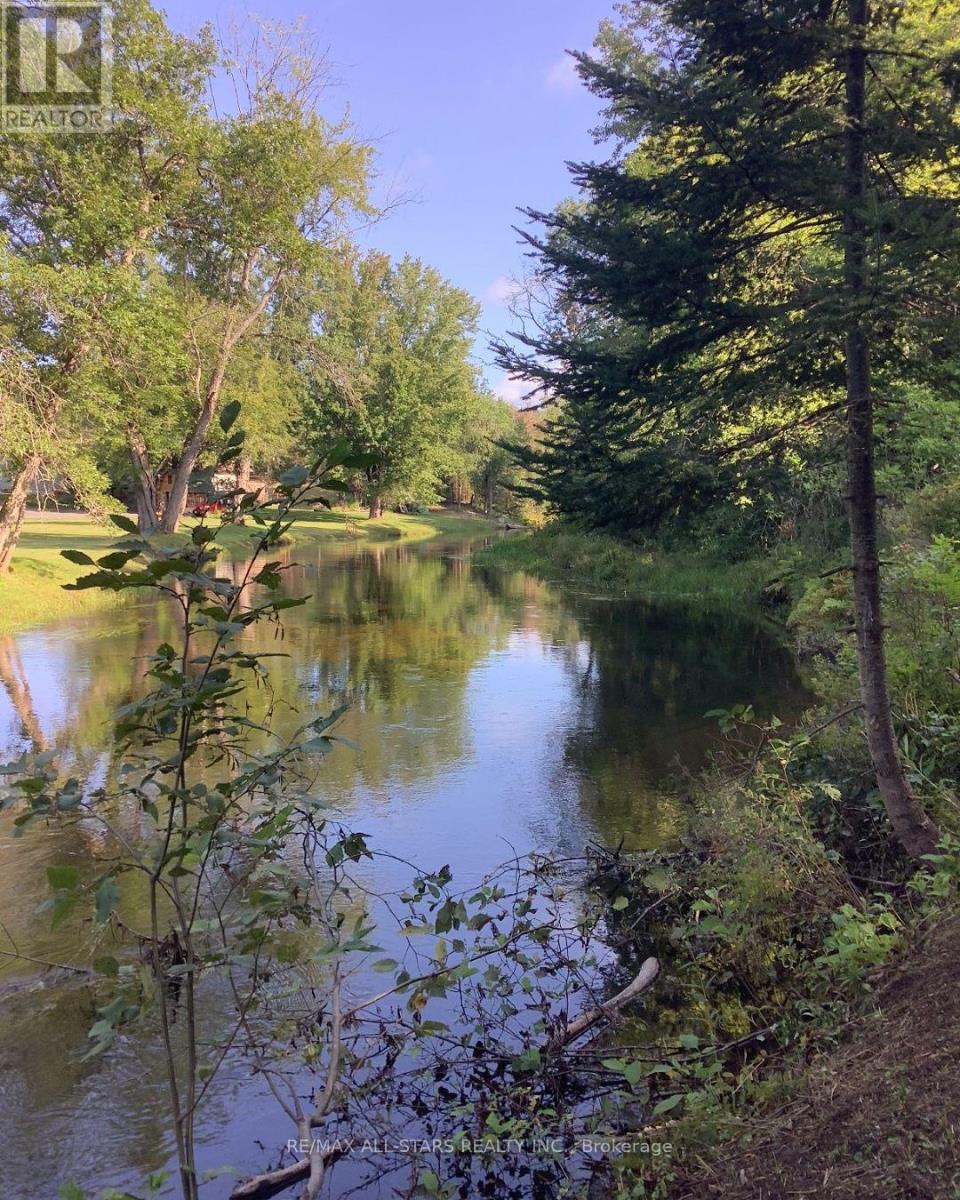 161 Mcfadden Road, North Kawartha, Ontario  K0L 1A0 - Photo 22 - X13049570