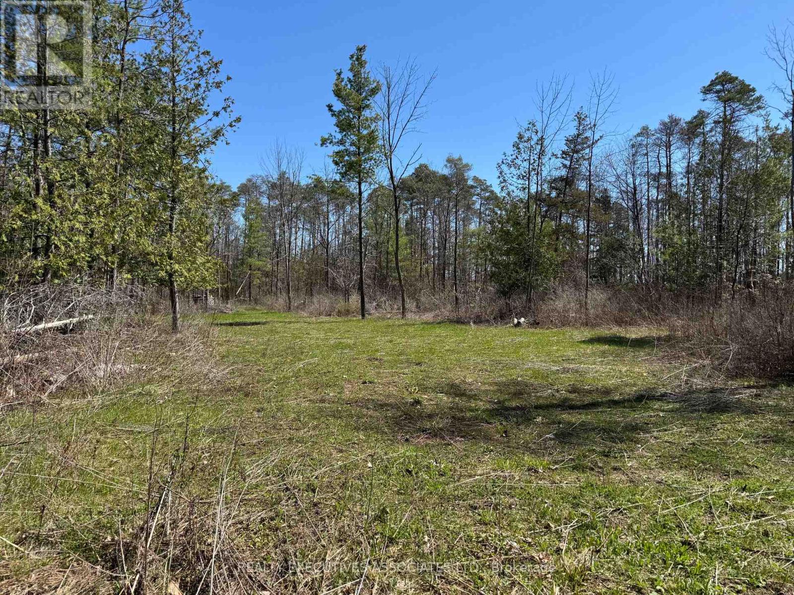 6192 County Rd 50, Trent Hills (Campbellford), Ontario  K0L 1L0 - Photo 2 - X13052456