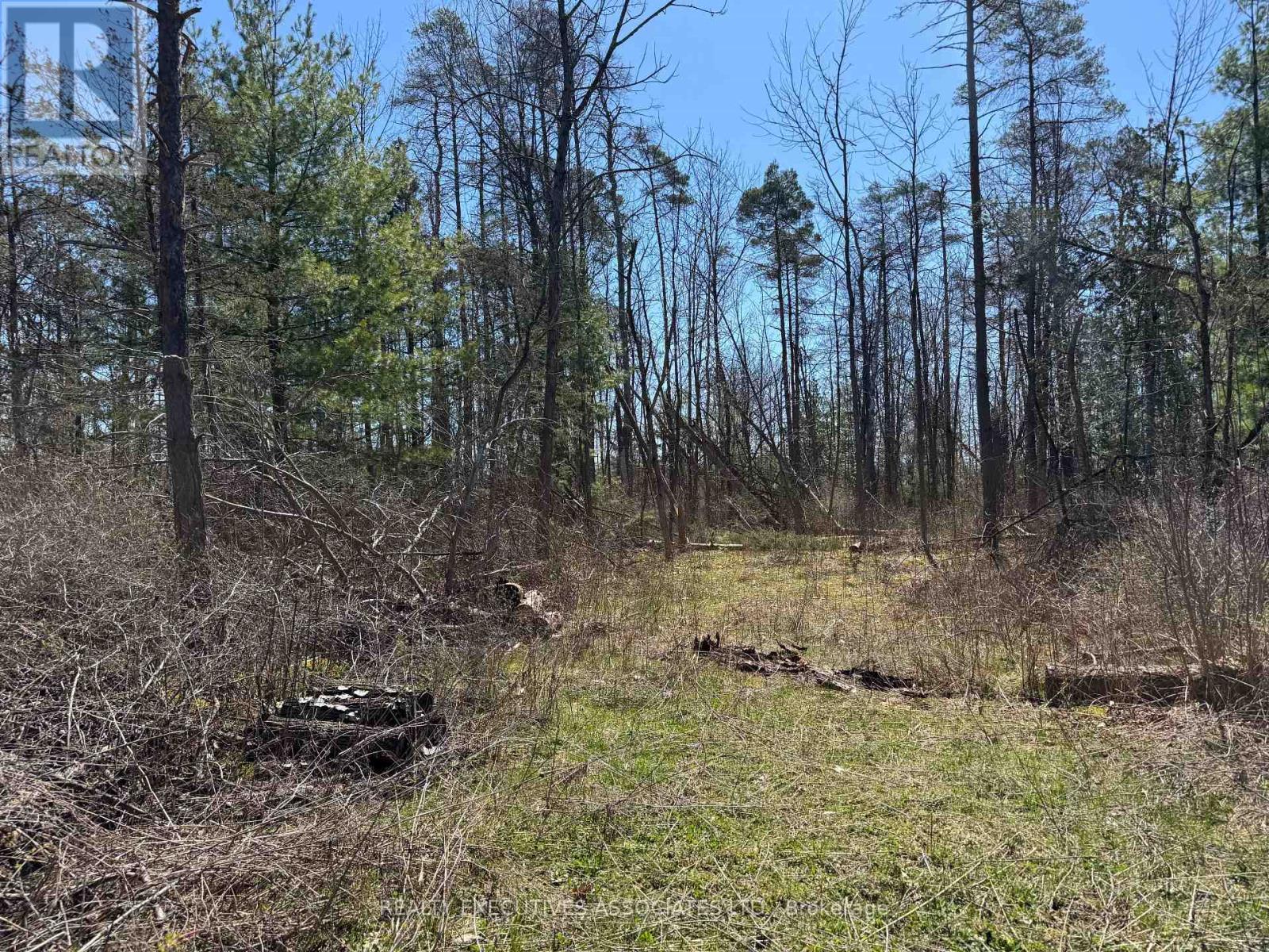 6192 County Rd 50, Trent Hills (Campbellford), Ontario  K0L 1L0 - Photo 3 - X13052456