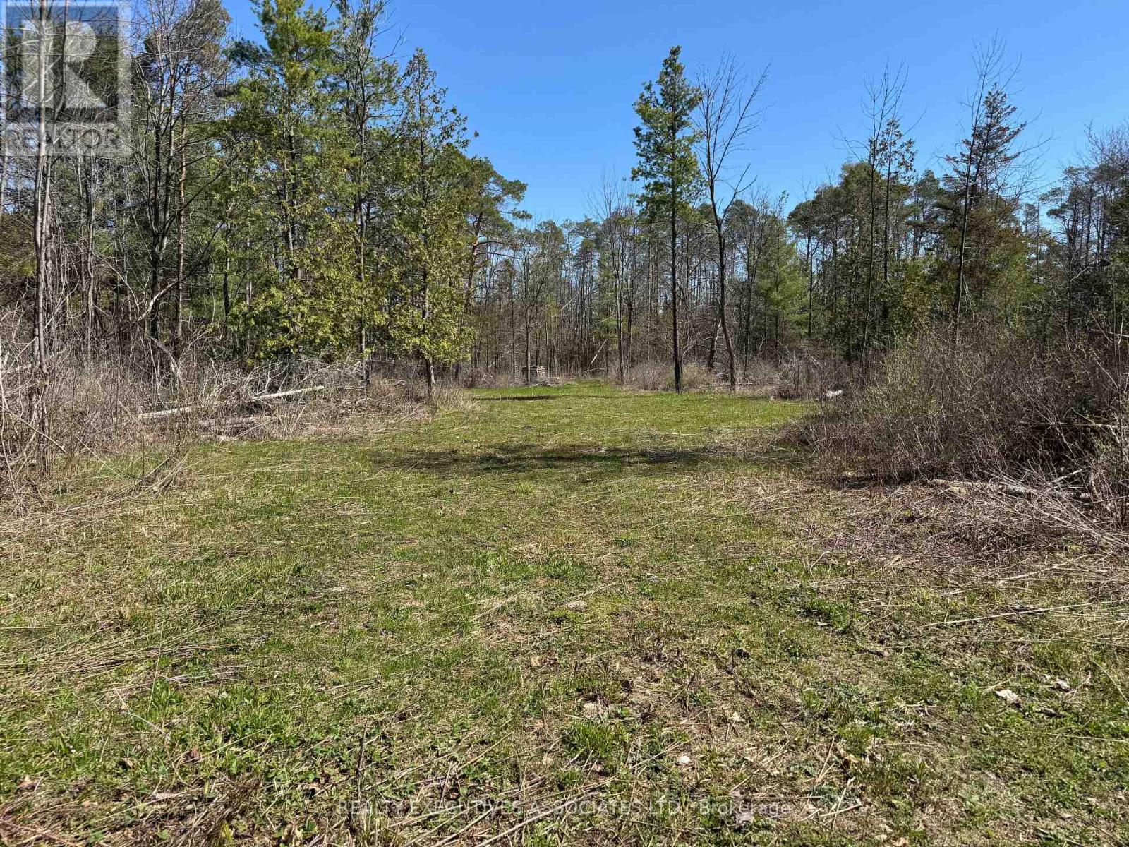 6192 County Rd 50, Trent Hills (Campbellford), Ontario  K0L 1L0 - Photo 4 - X13052456