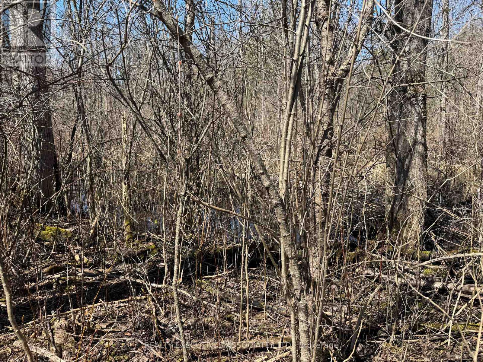 6192 County Rd 50, Trent Hills (Campbellford), Ontario  K0L 1L0 - Photo 6 - X13052456