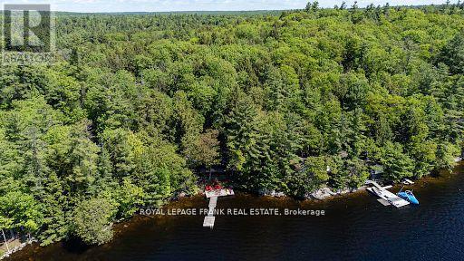 119 Fire Route 242, Trent Lakes, Ontario  K0L 1J0 - Photo 34 - X13052932