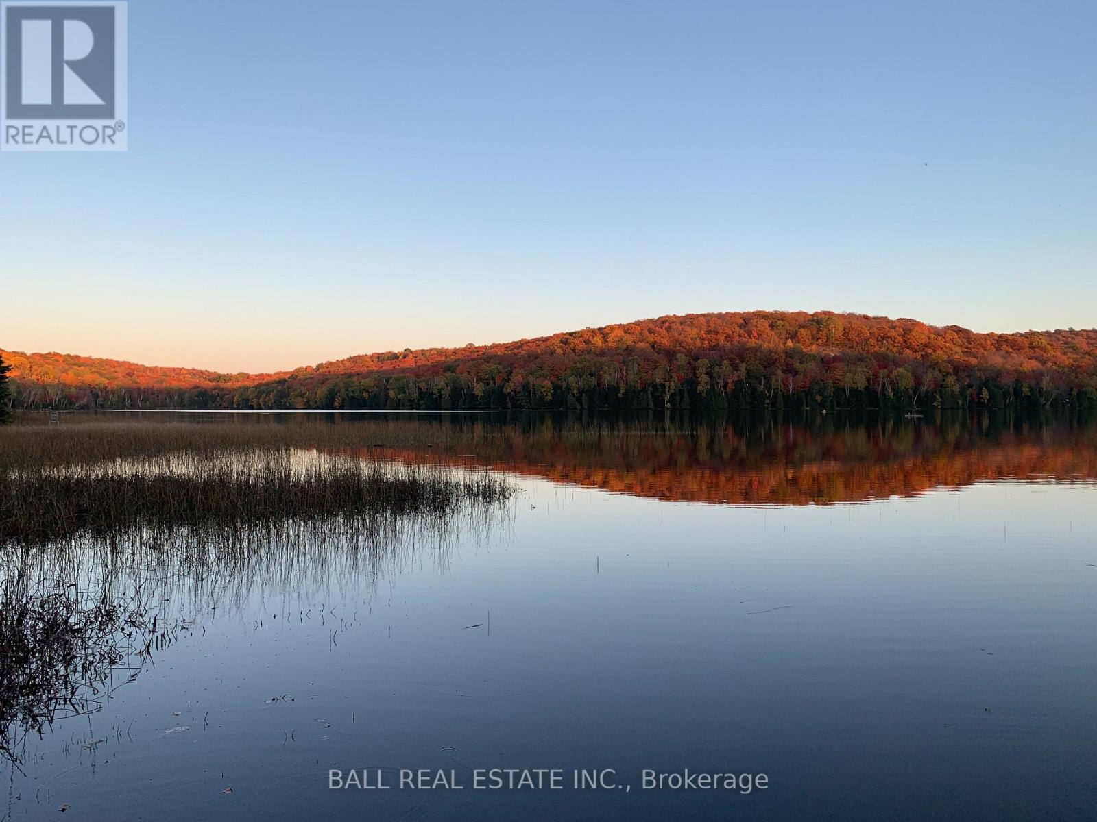 294 Albion Lake Drive, Faraday, Ontario  K0L 1C0 - Photo 3 - X13053012