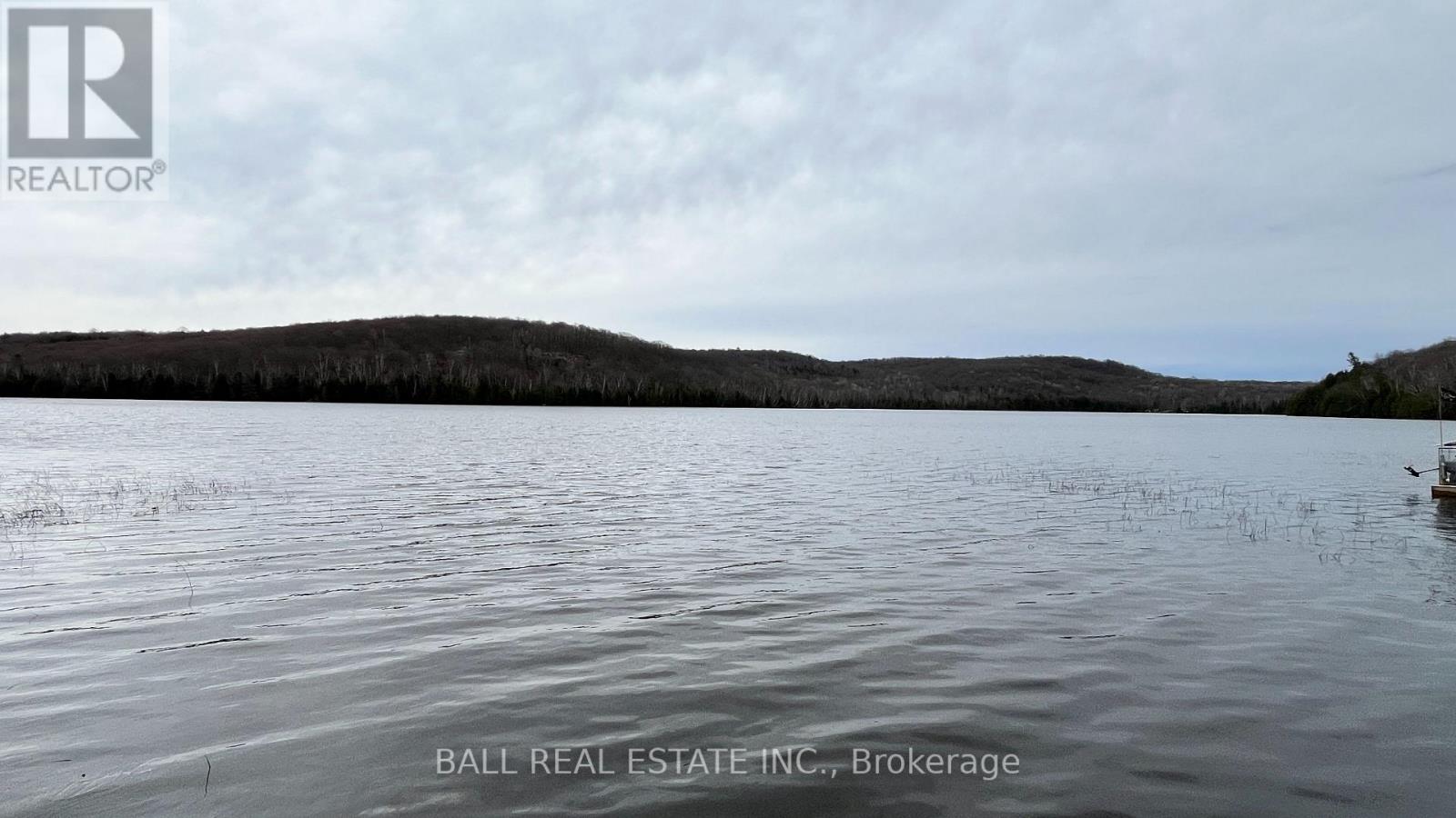 294 Albion Lake Drive, Faraday, Ontario  K0L 1C0 - Photo 6 - X13053012