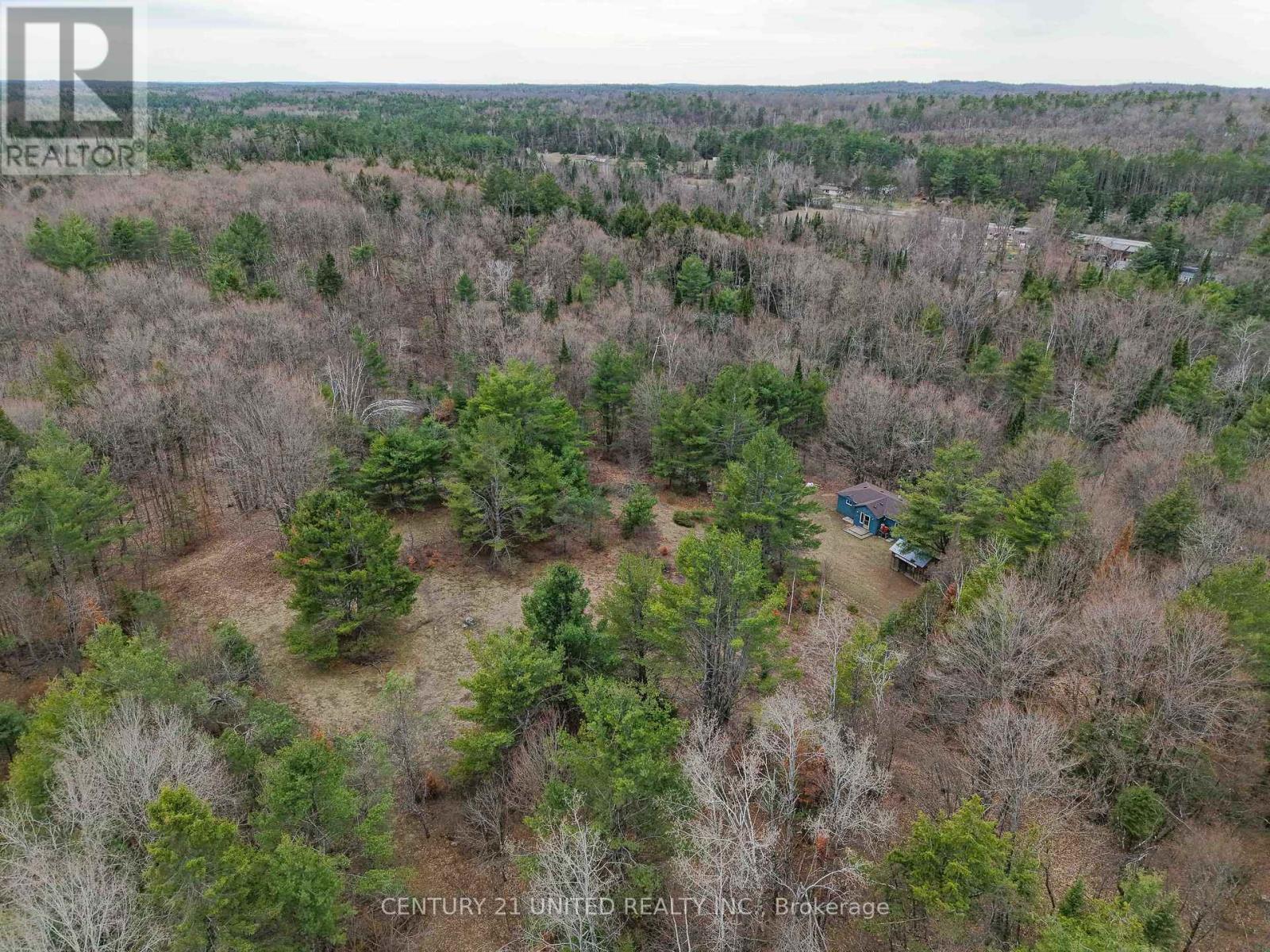 9559 Hwy 28, North Kawartha, Ontario  K0L 1A0 - Photo 10 - X13054270