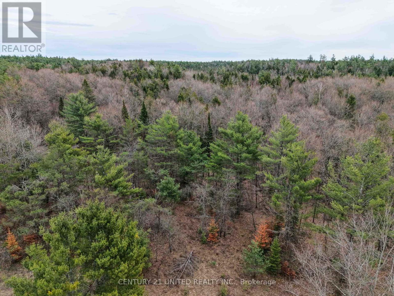 9559 Hwy 28, North Kawartha, Ontario  K0L 1A0 - Photo 11 - X13054270