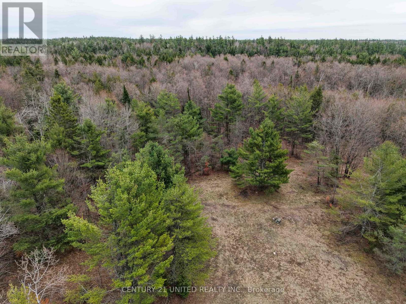 9559 Hwy 28, North Kawartha, Ontario  K0L 1A0 - Photo 12 - X13054270