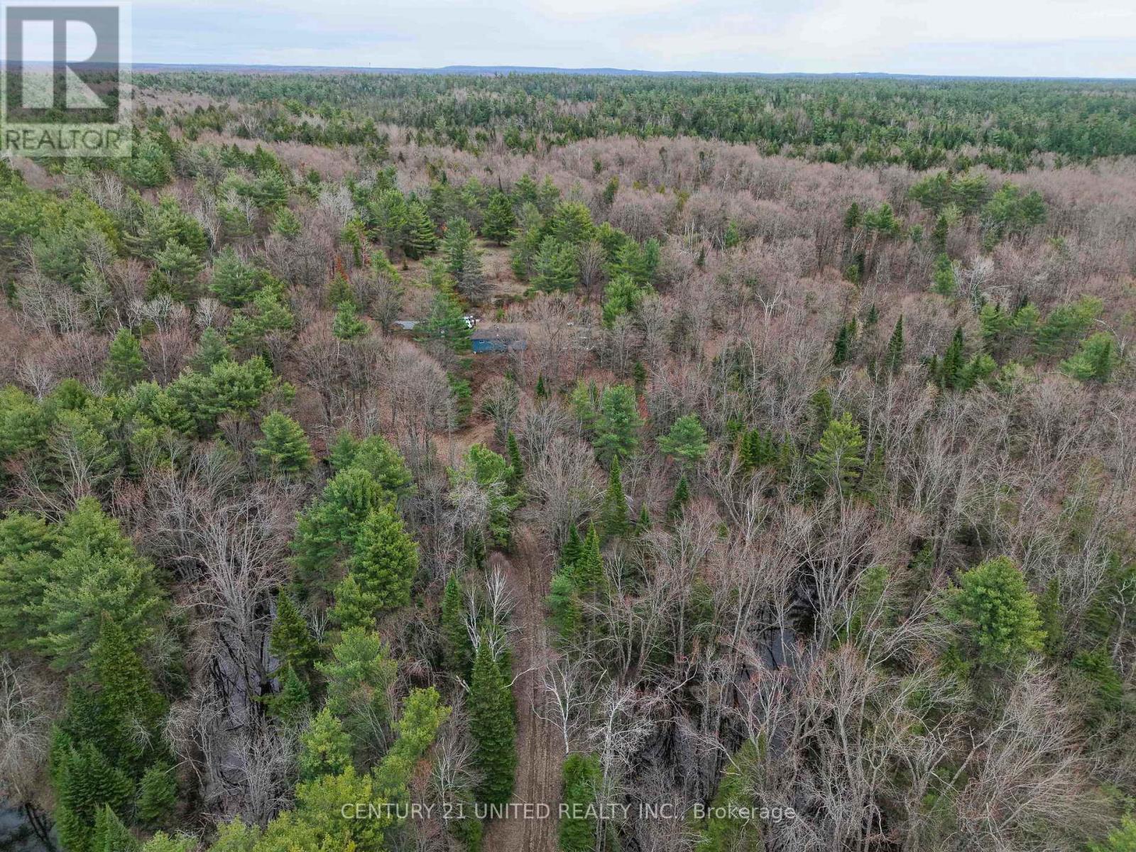 9559 Hwy 28, North Kawartha, Ontario  K0L 1A0 - Photo 16 - X13054270