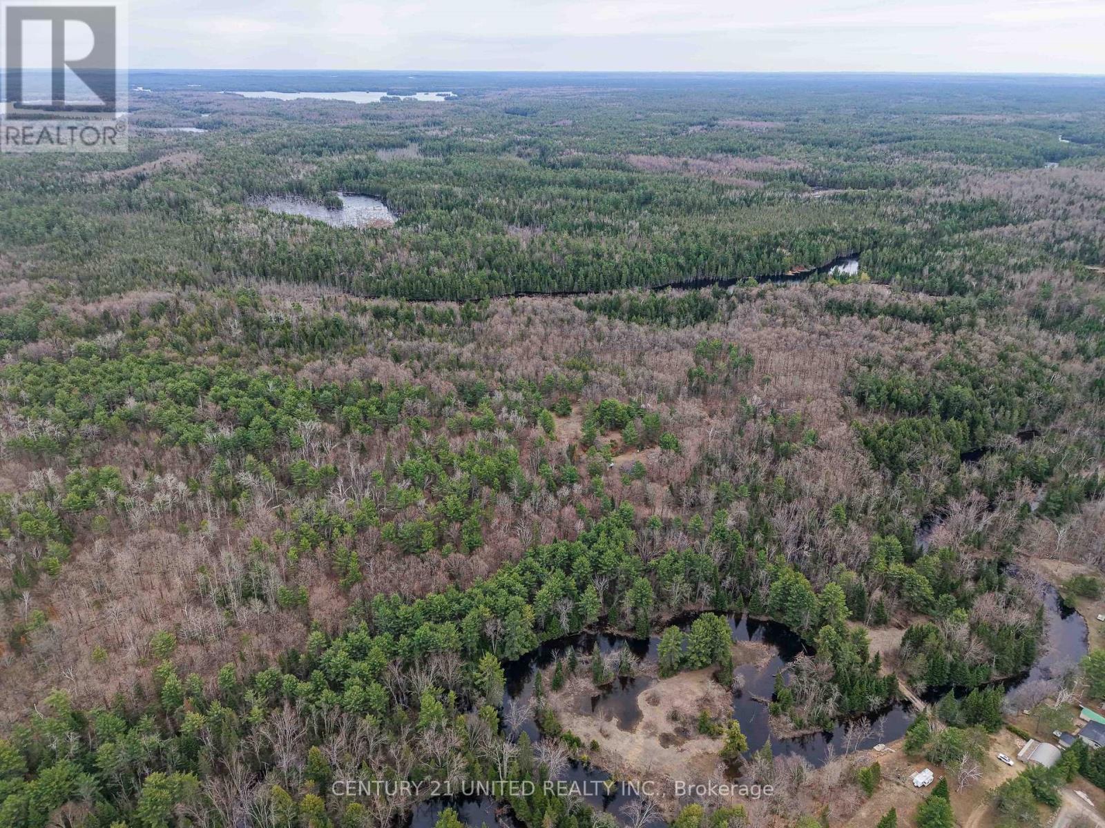 9559 Hwy 28, North Kawartha, Ontario  K0L 1A0 - Photo 18 - X13054270