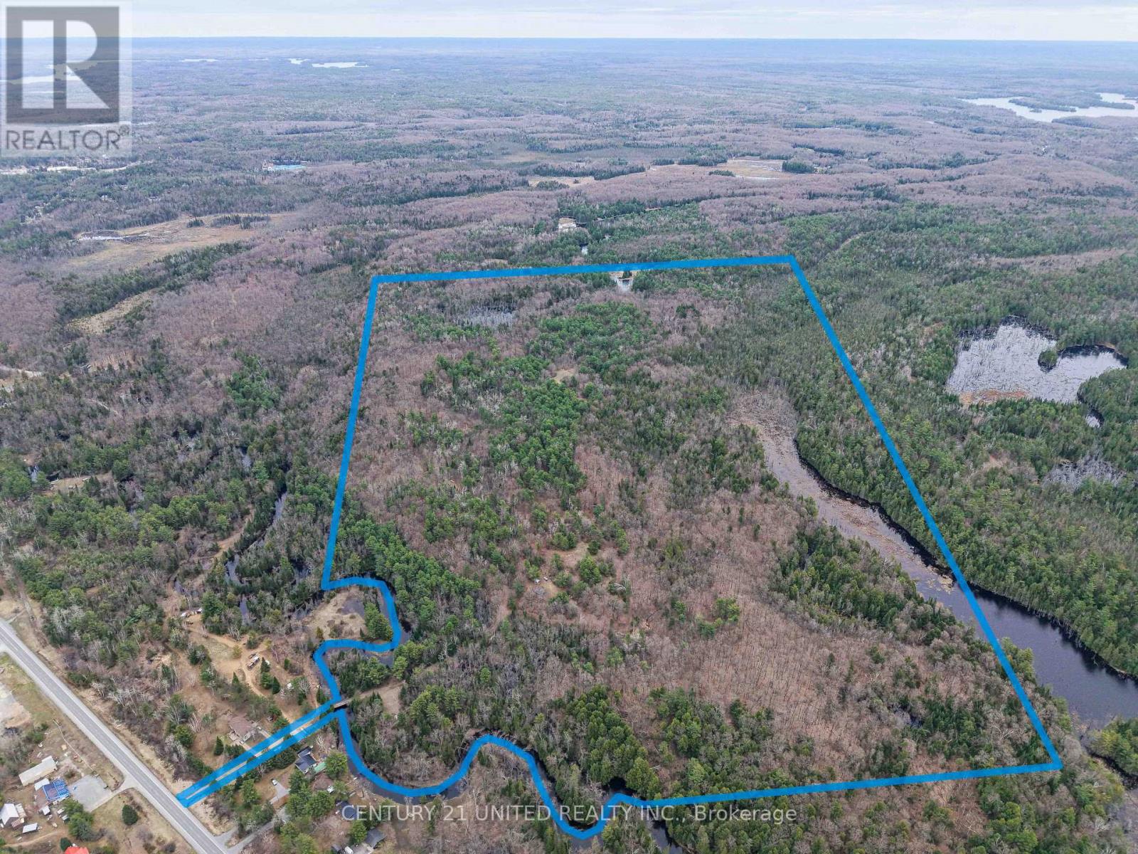 9559 Hwy 28, North Kawartha, Ontario  K0L 1A0 - Photo 2 - X13054270