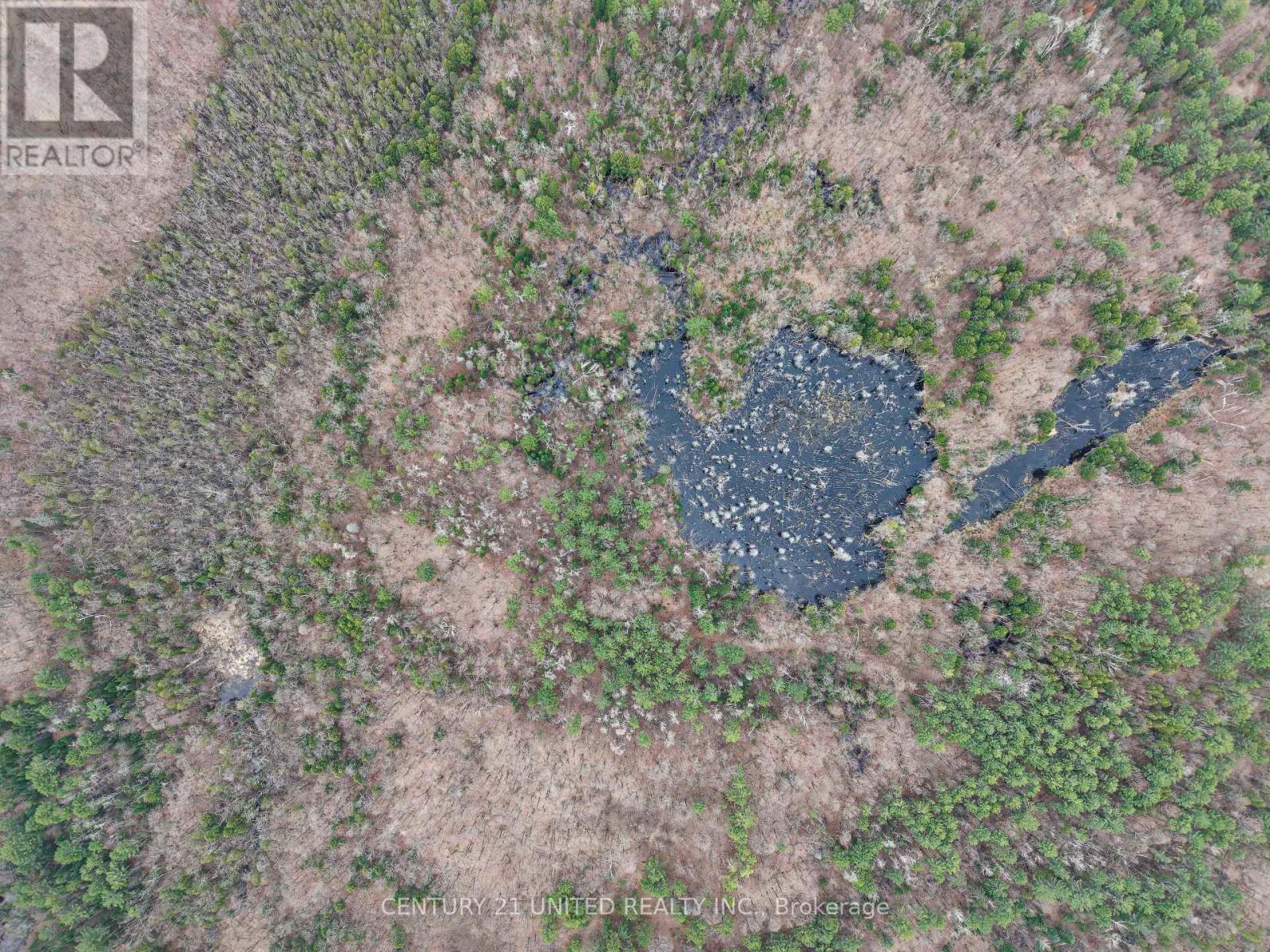 9559 Hwy 28, North Kawartha, Ontario  K0L 1A0 - Photo 23 - X13054270