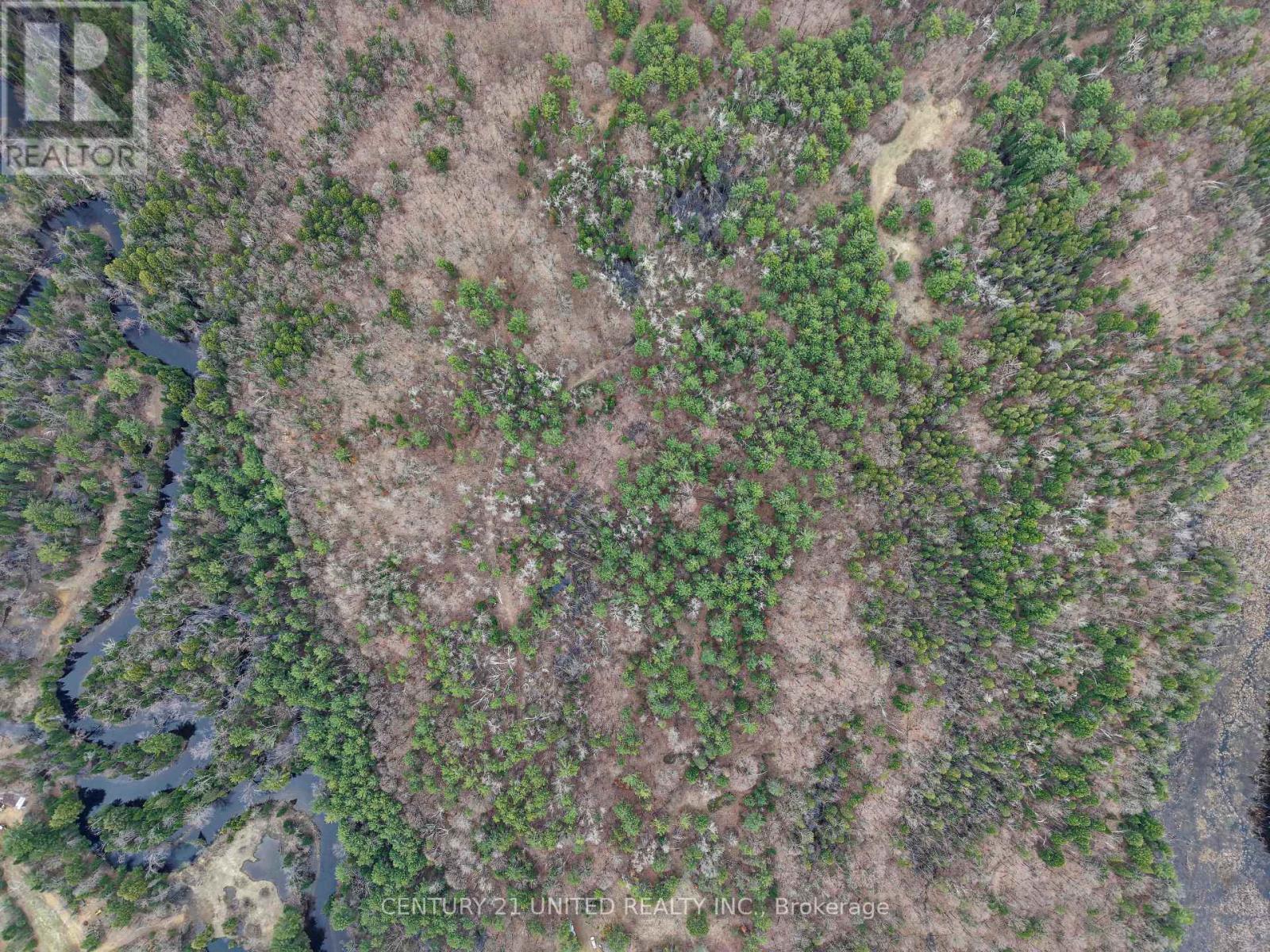 9559 Hwy 28, North Kawartha, Ontario  K0L 1A0 - Photo 24 - X13054270