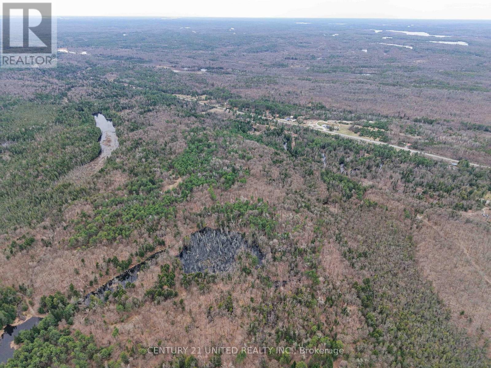 9559 Hwy 28, North Kawartha, Ontario  K0L 1A0 - Photo 4 - X13054270