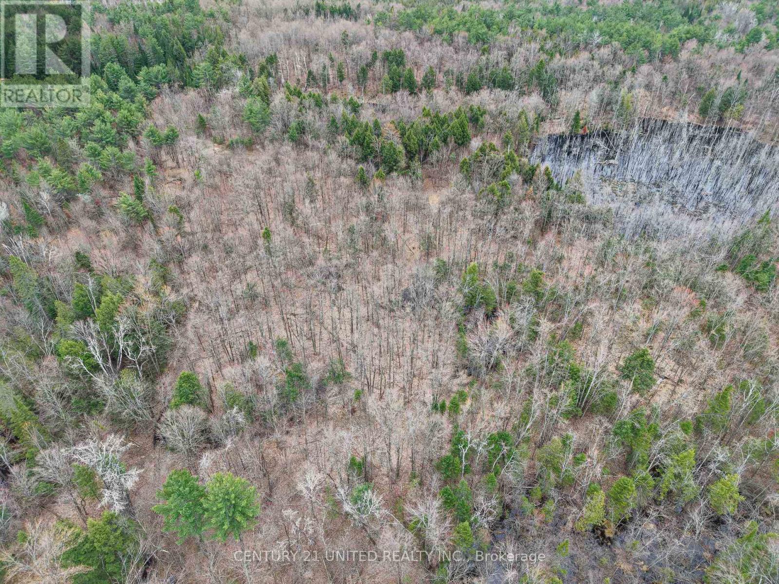 9559 Hwy 28, North Kawartha, Ontario  K0L 1A0 - Photo 5 - X13054270