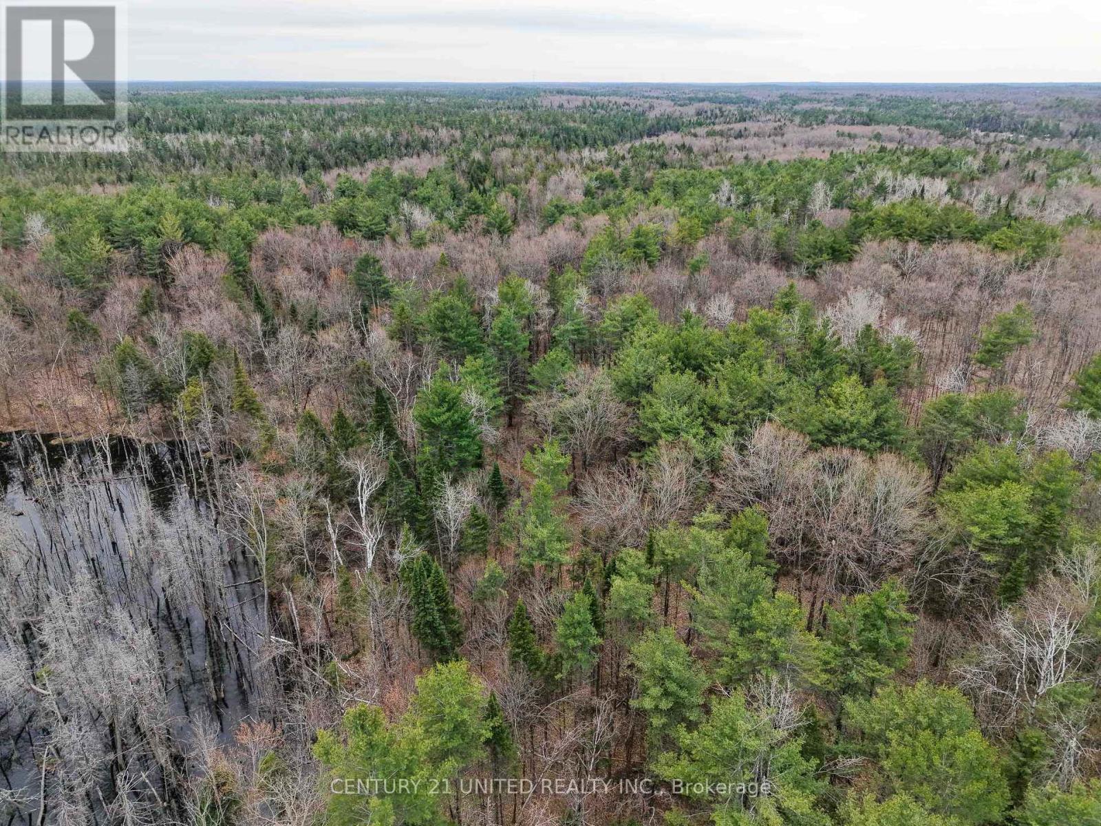 9559 Hwy 28, North Kawartha, Ontario  K0L 1A0 - Photo 6 - X13054270